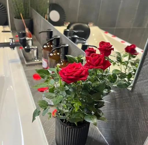 Apartment Bellerive Magnifique Vue Publier